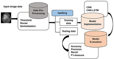 Ensemble deep learning for brain tumor detection
